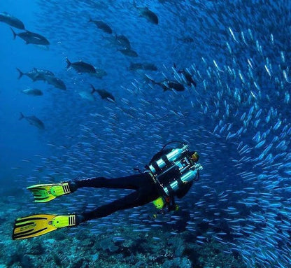 3Mm Classic Dive Boots