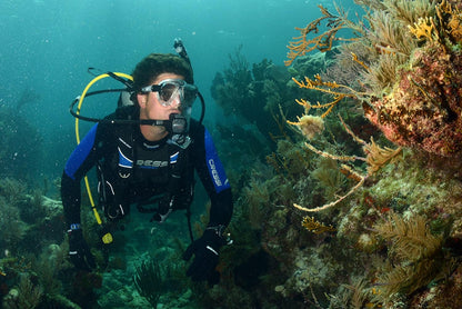 Lightest Travel Scuba Diving BCD - Folds Completely to save Space - Fully Accessorised: 8 D-Rings, 2 Wide Side Pockets, 2 Rear Trim Pockets - High Lift Capacity - Travelight: Designed in Italy